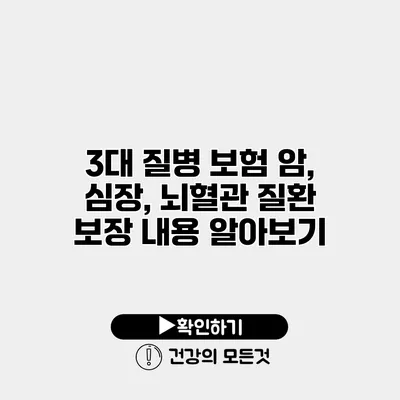 3대 질병 보험 암, 심장, 뇌혈관 질환 보장 내용 알아보기