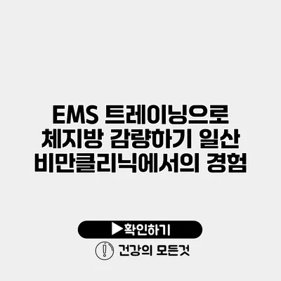 EMS 트레이닝으로 체지방 감량하기 일산 비만클리닉에서의 경험