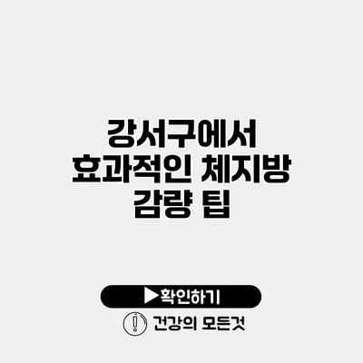 강서구에서 효과적인 체지방 감량 팁