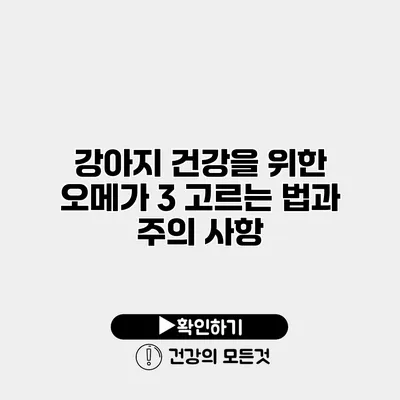 강아지 건강을 위한 오메가 3 고르는 법과 주의 사항