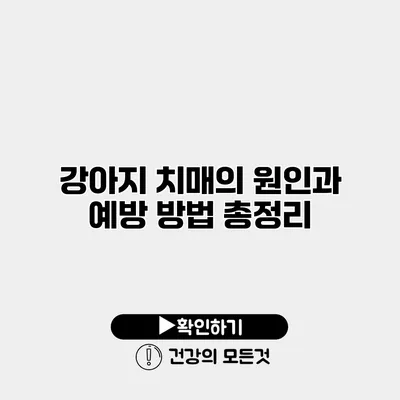 강아지 치매의 원인과 예방 방법 총정리