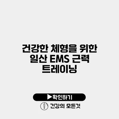 건강한 체형을 위한 일산 EMS 근력 트레이닝