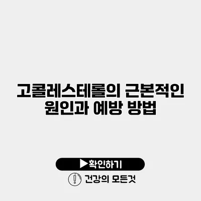 고콜레스테롤의 근본적인 원인과 예방 방법