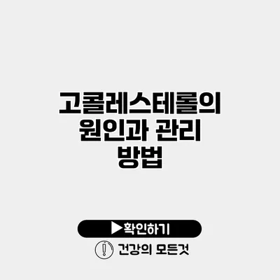 고콜레스테롤의 원인과 관리 방법