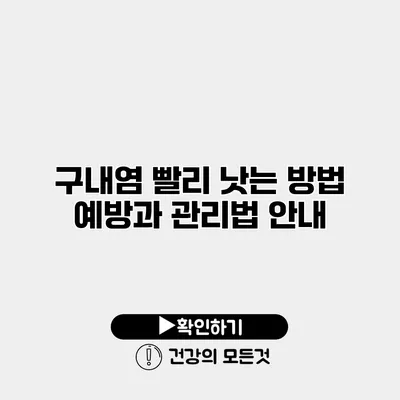 구내염 빨리 낫는 방법 예방과 관리법 안내
