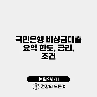 국민은행 비상금대출 요약 한도, 금리, 조건