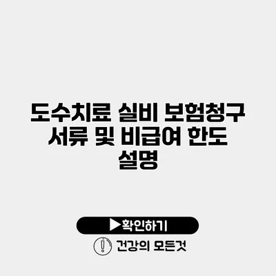 도수치료 실비 보험청구 서류 및 비급여 한도 설명