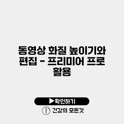 동영상 화질 높이기와 편집 - 프리미어 프로 활용