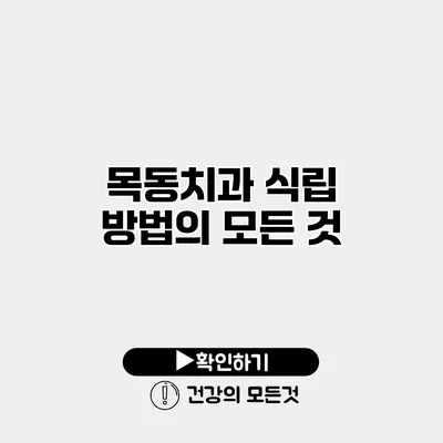 목동치과 식립 방법의 모든 것