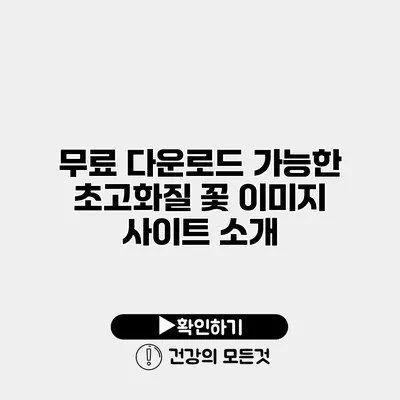 무료 다운로드 가능한 초고화질 꽃 이미지 사이트 소개