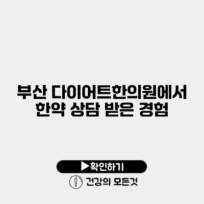 부산 다이어트한의원에서 한약 상담 받은 경험