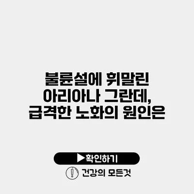 불륜설에 휘말린 아리아나 그란데, 급격한 노화의 원인은?
