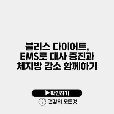 블리스 다이어트, EMS로 대사 증진과 체지방 감소 함께하기