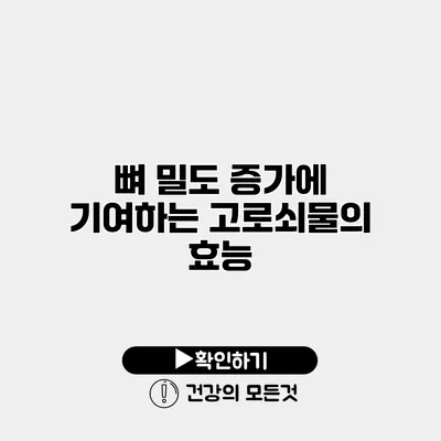 뼈 밀도 증가에 기여하는 고로쇠물의 효능