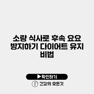 소량 식사로 후속 요요 방지하기 다이어트 유지 비법