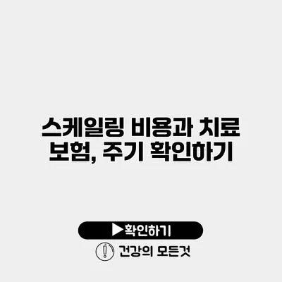 스케일링 비용과 치료 보험, 주기 확인하기