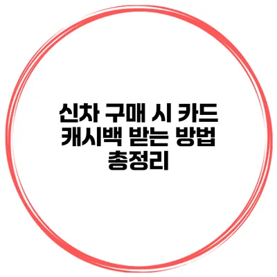 신차 구매 시 카드 캐시백 받는 방법 총정리