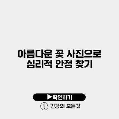 아름다운 꽃 사진으로 심리적 안정 찾기