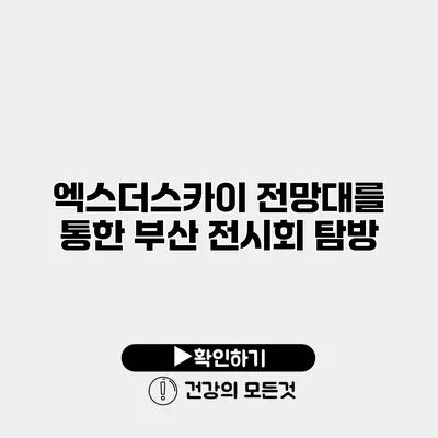 엑스더스카이 전망대를 통한 부산 전시회 탐방