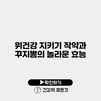 위건강 지키기 작약과 꾸지뽕의 놀라운 효능