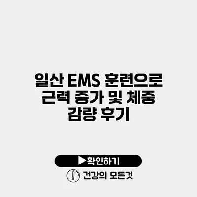일산 EMS 훈련으로 근력 증가 및 체중 감량 후기