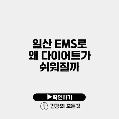 일산 EMS로 왜 다이어트가 쉬워질까?