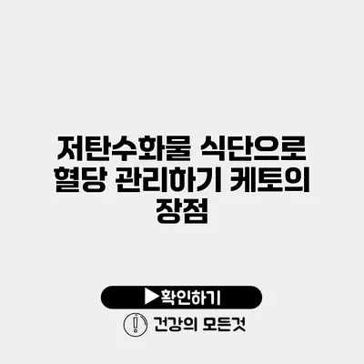 저탄수화물 식단으로 혈당 관리하기 케토의 장점