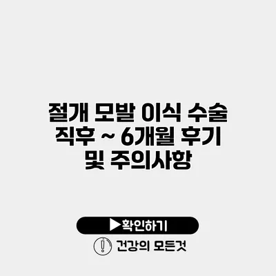 절개 모발 이식 수술 직후 ~ 6개월 후기 및 주의사항