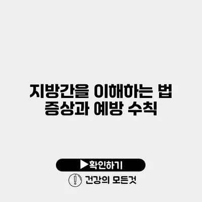 지방간을 이해하는 법 증상과 예방 수칙