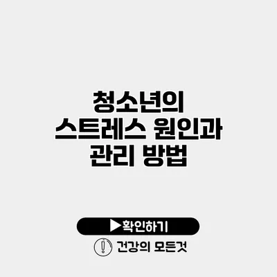 청소년의 스트레스 원인과 관리 방법