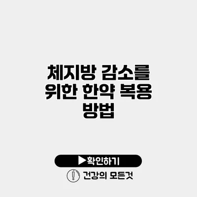 체지방 감소를 위한 한약 복용 방법