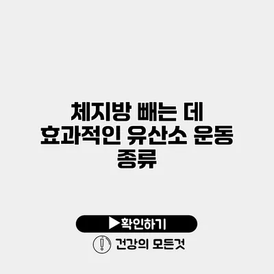 체지방 빼는 데 효과적인 유산소 운동 종류