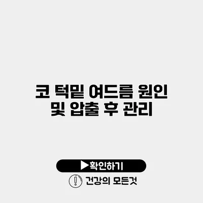 코 턱밑 여드름 원인 및 압출 후 관리