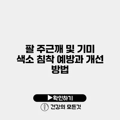 팔 주근깨 및 기미 색소 침착 예방과 개선 방법
