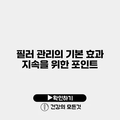 필러 관리의 기본 효과 지속을 위한 포인트