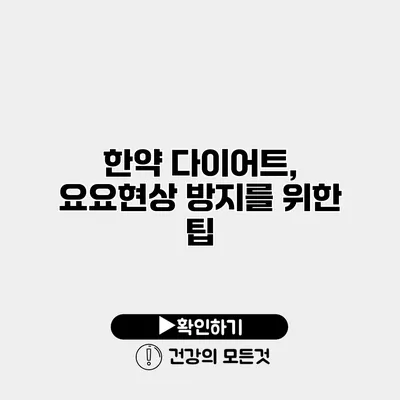 한약 다이어트, 요요현상 방지를 위한 팁