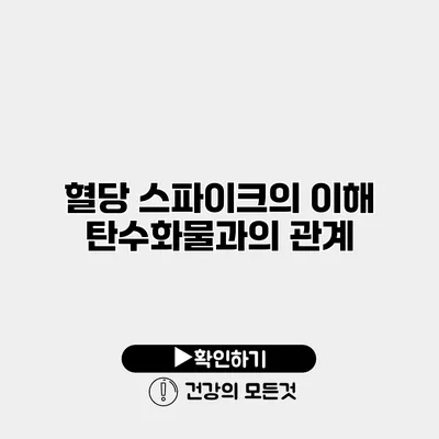 혈당 스파이크의 이해 탄수화물과의 관계