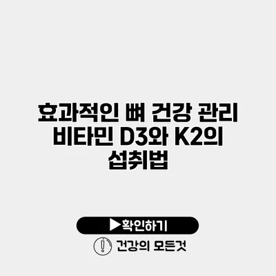 효과적인 뼈 건강 관리 비타민 D3와 K2의 섭취법