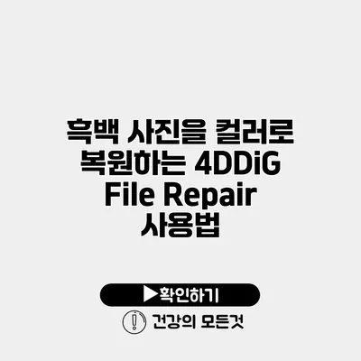 흑백 사진을 컬러로 복원하는 4DDiG File Repair 사용법