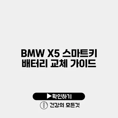 BMW X5 스마트키 배터리 교체 가이드