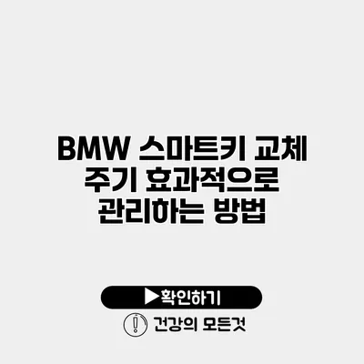 BMW 스마트키 교체 주기 효과적으로 관리하는 방법