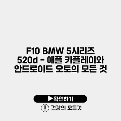 F10 BMW 5시리즈 520d - 애플 카플레이와 안드로이드 오토의 모든 것