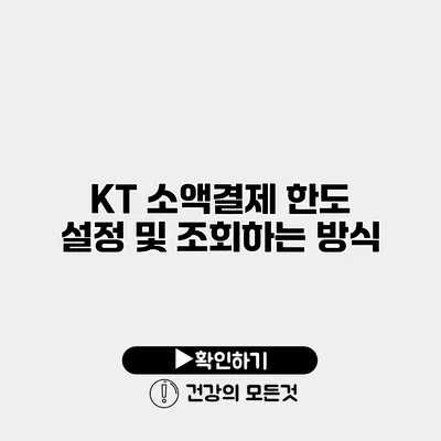 KT 소액결제 한도 설정 및 조회하는 방식