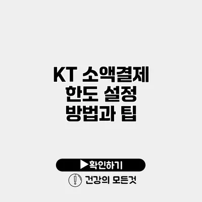 KT 소액결제 한도 설정 방법과 팁