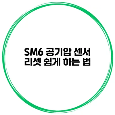SM6 공기압 센서 리셋 쉽게 하는 법
