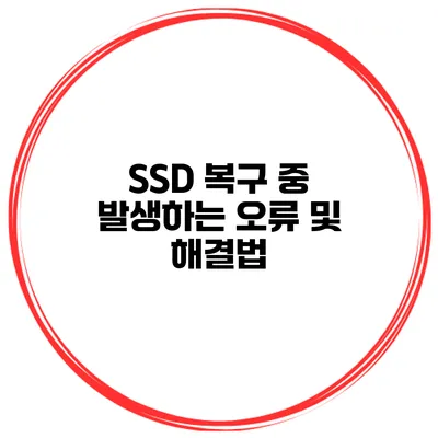 SSD 복구 중 발생하는 오류 및 해결법