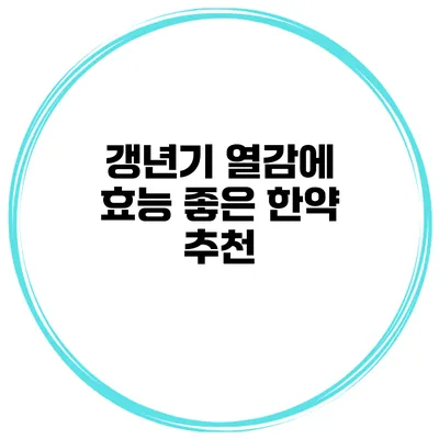 갱년기 열감에 효능 좋은 한약 추천