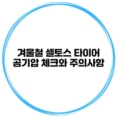 겨울철 셀토스 타이어 공기압 체크와 주의사항