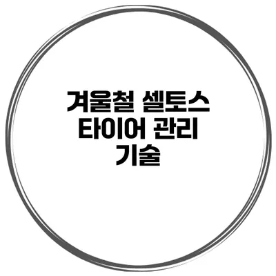 겨울철 셀토스 타이어 관리 기술