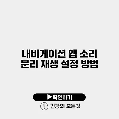 내비게이션 앱 소리 분리 재생 설정 방법